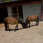 Casa Dei Ciliegi CastellʼAlfero