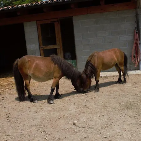 Casa Dei Ciliegi CastellʼAlfero