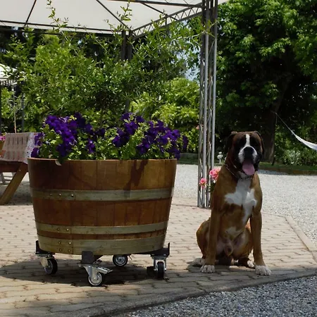 بيت للعطل Casa Dei Ciliegi CastellʼAlfero