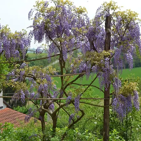 度假居 Casa Dei Ciliegi *